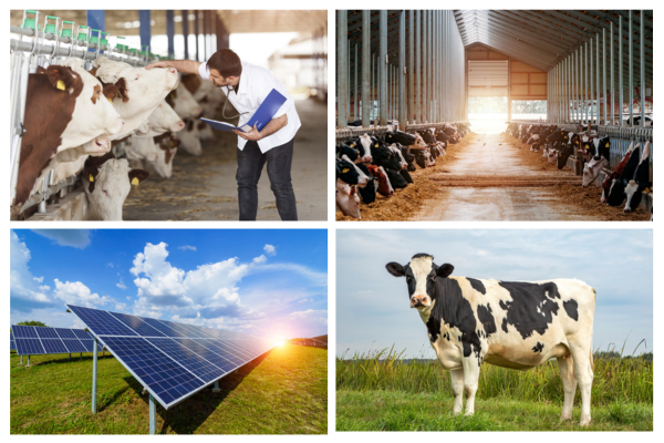 Untitled design - 2024-04-29T124123.358